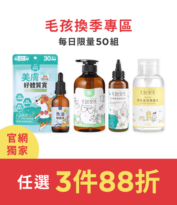 促銷卡片