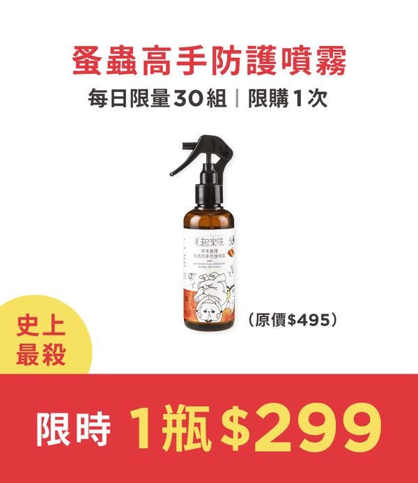 促銷卡片