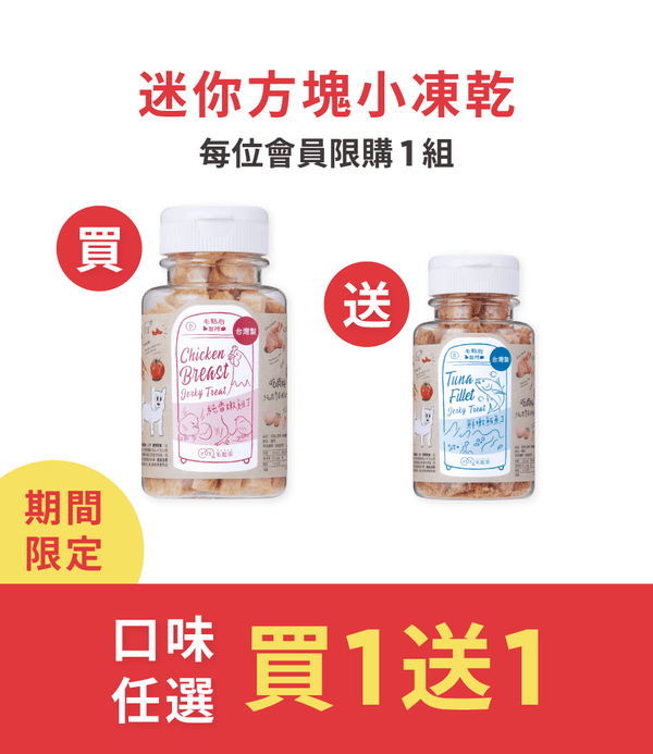 促銷卡片