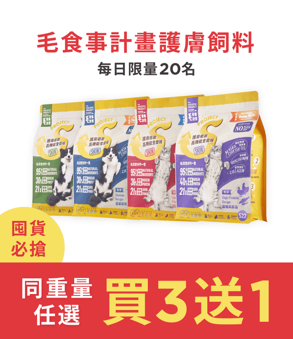 促銷卡片