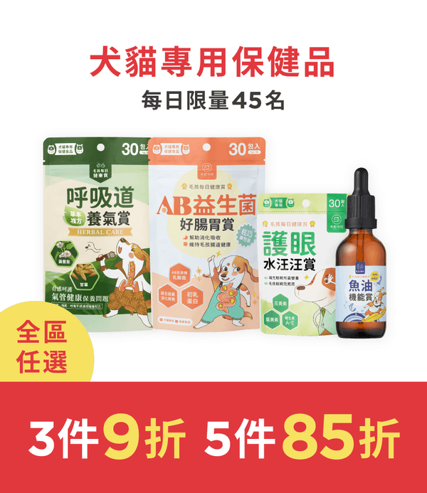 促銷卡片