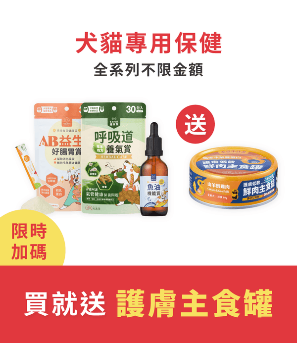 促銷卡片