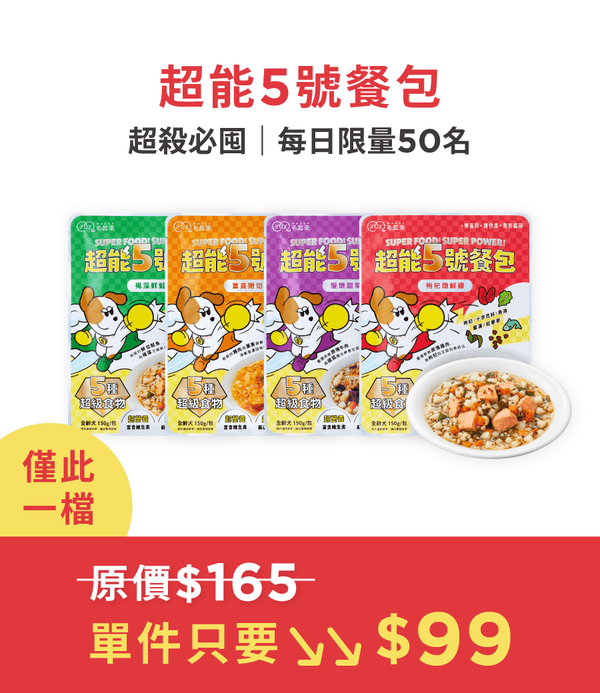 促銷卡片