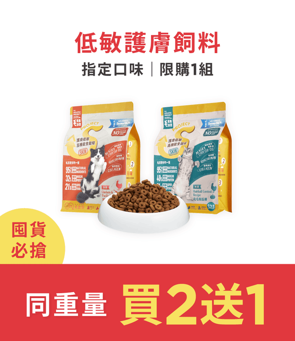 促銷卡片