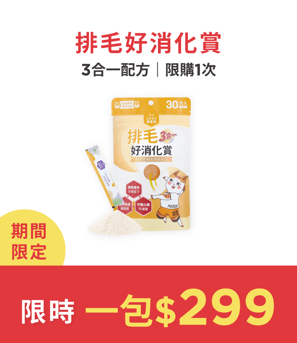 促銷卡片