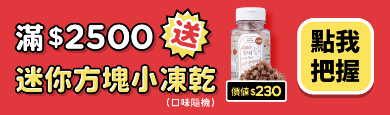毛起來 MAOUP
