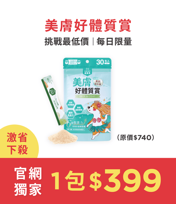 促銷卡片