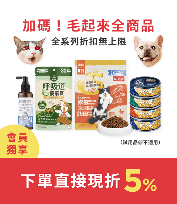 促銷卡片