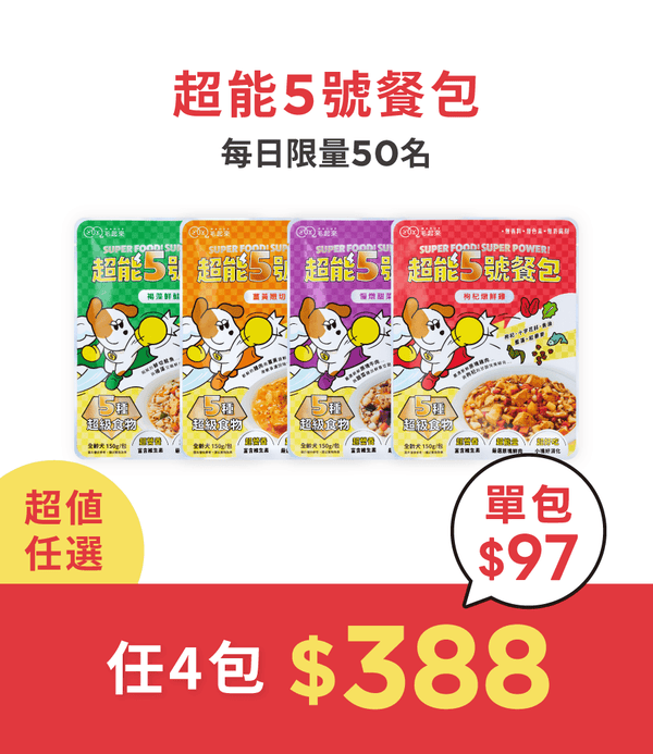 促銷卡片