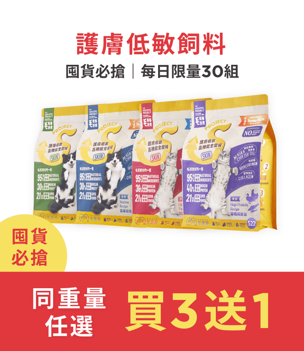 促銷卡片