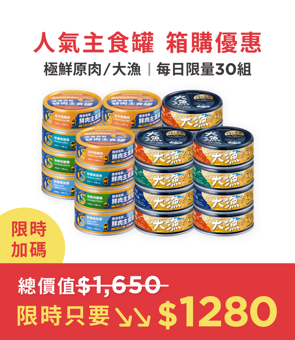 促銷卡片