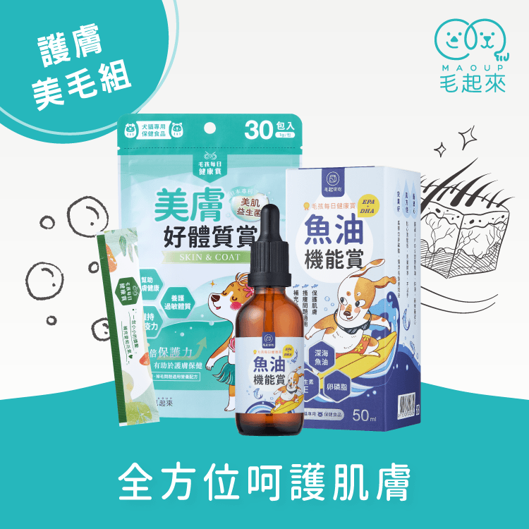 【毛起來】毛孩每日健康賞│美膚好體質賞