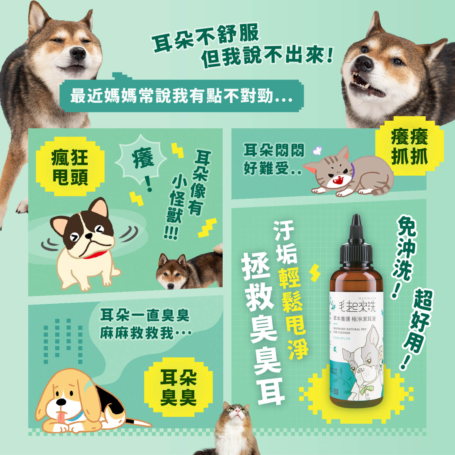 【毛起來】草本養護│極淨潔耳液