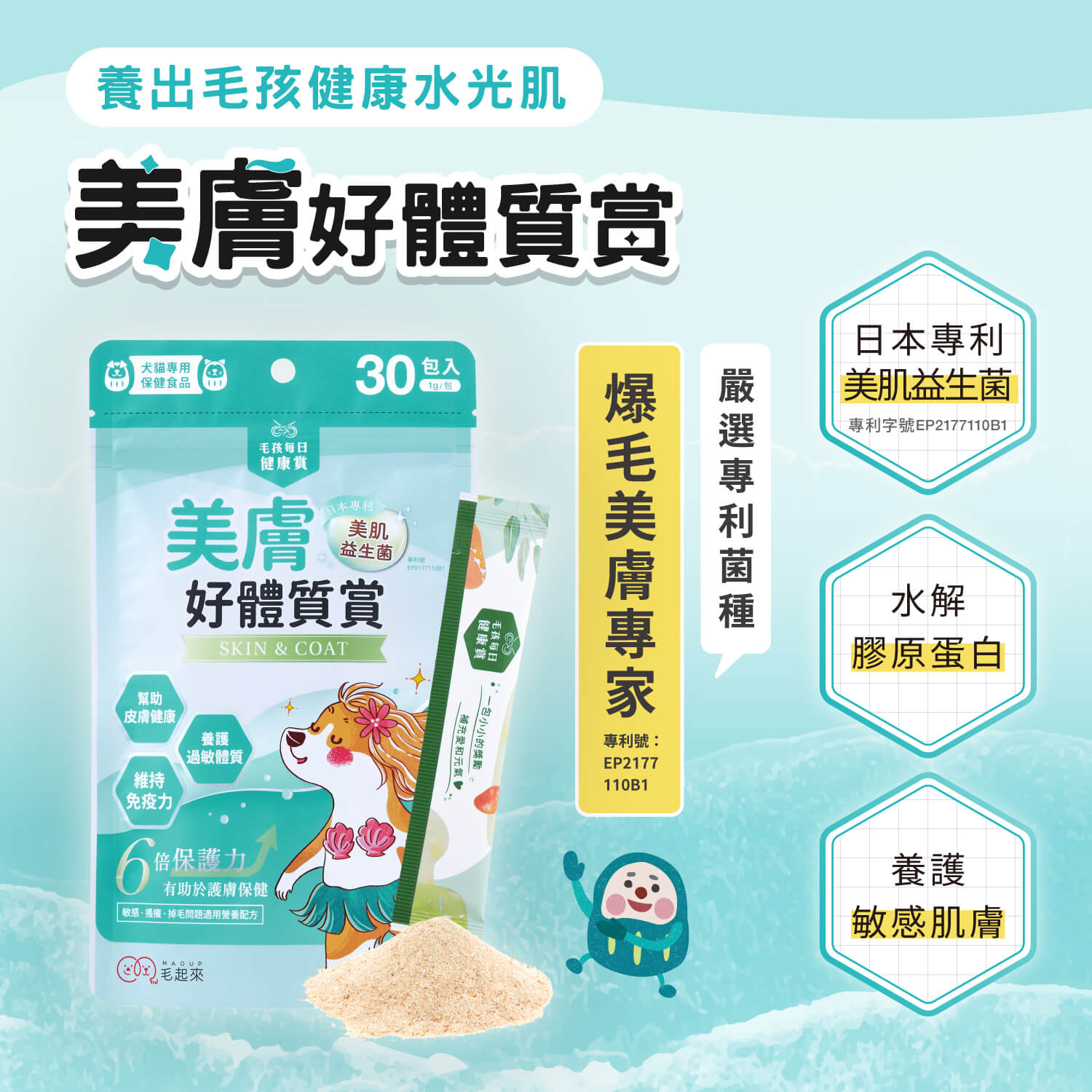 【毛起來】毛孩每日健康賞│美膚好體質賞