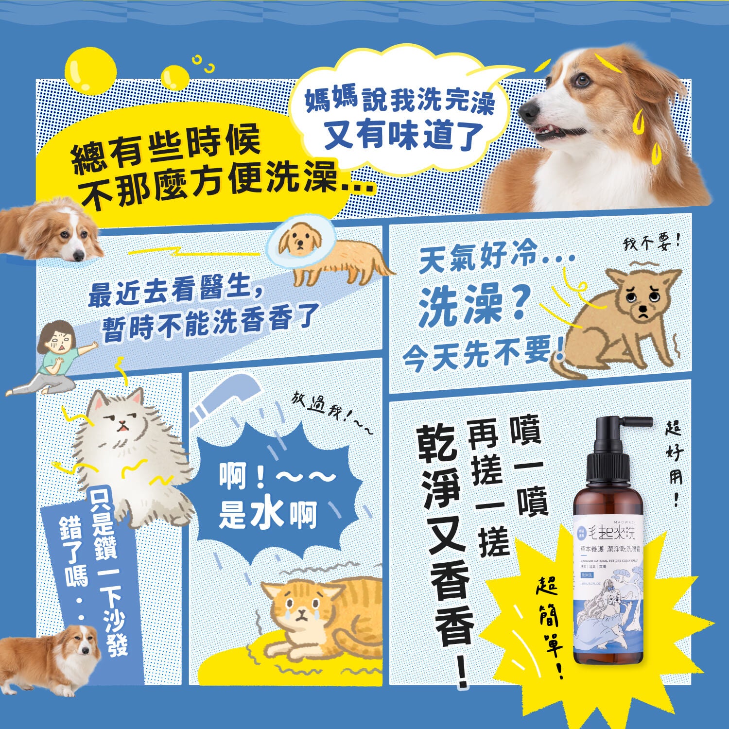 【毛起來】草本養護│潔淨乾洗噴霧