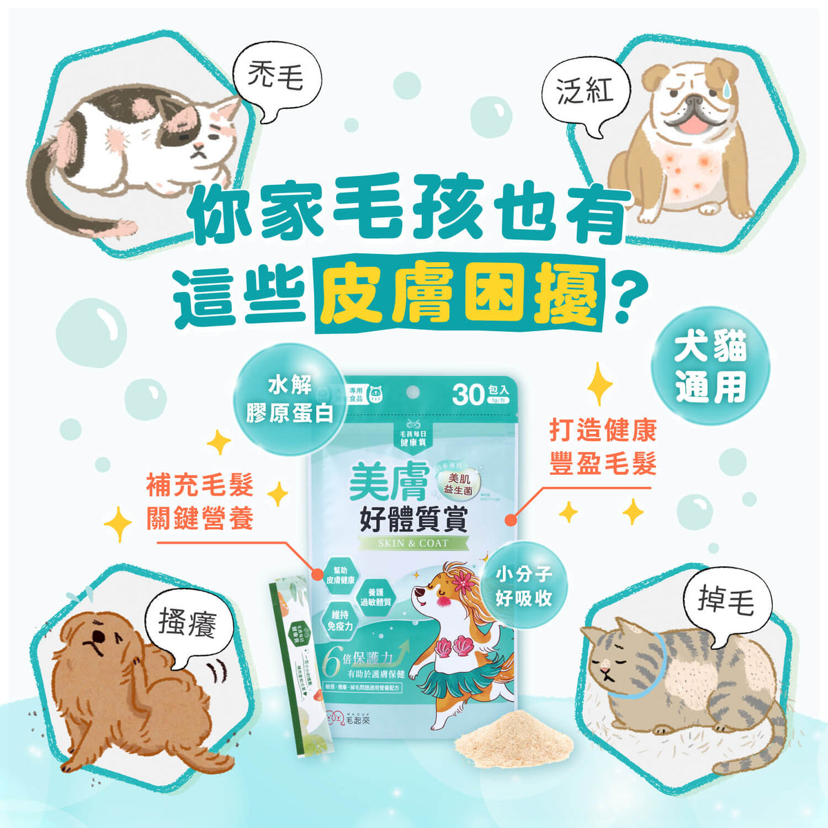 【團購專屬】美膚好體質賞