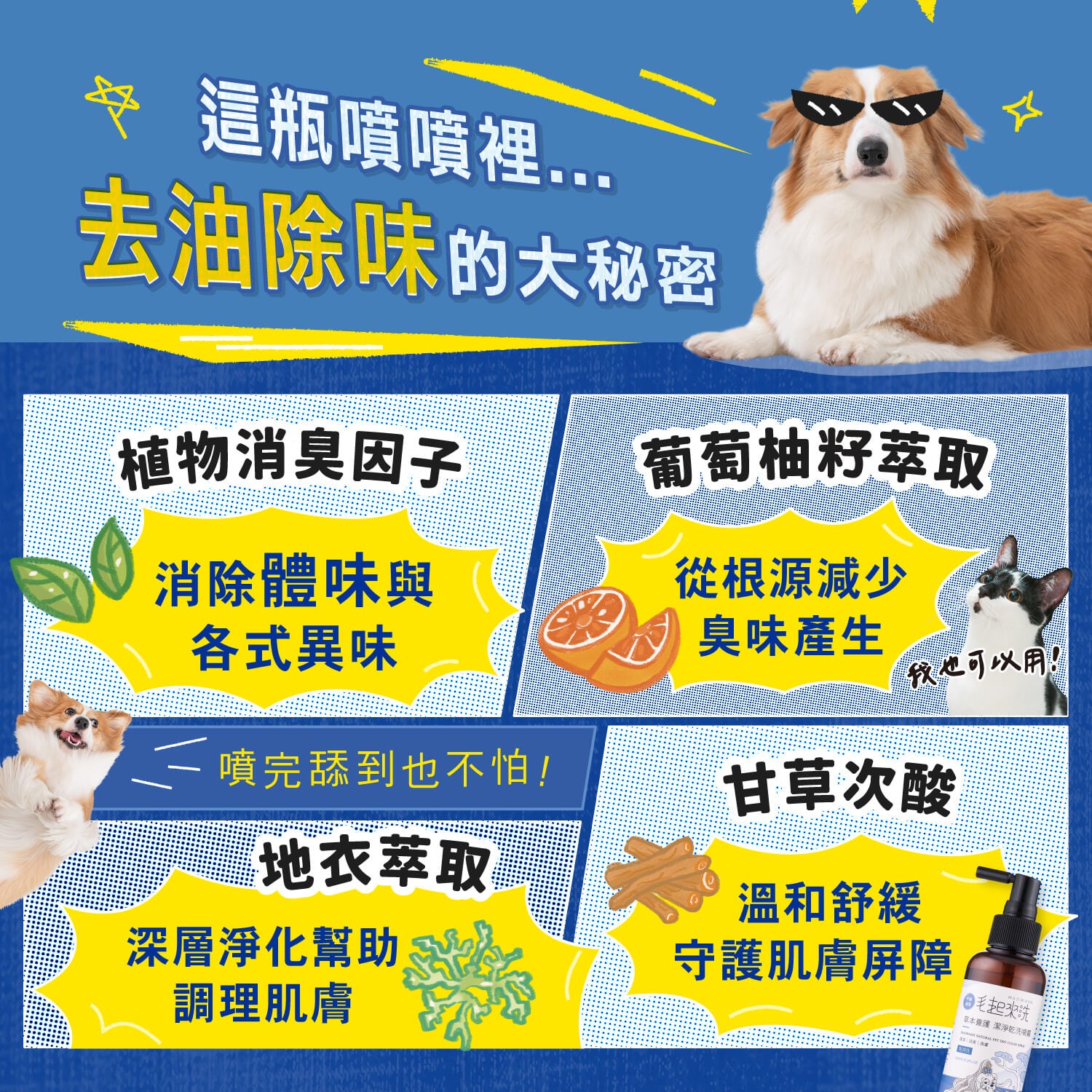 【毛起來】草本養護│潔淨乾洗噴霧