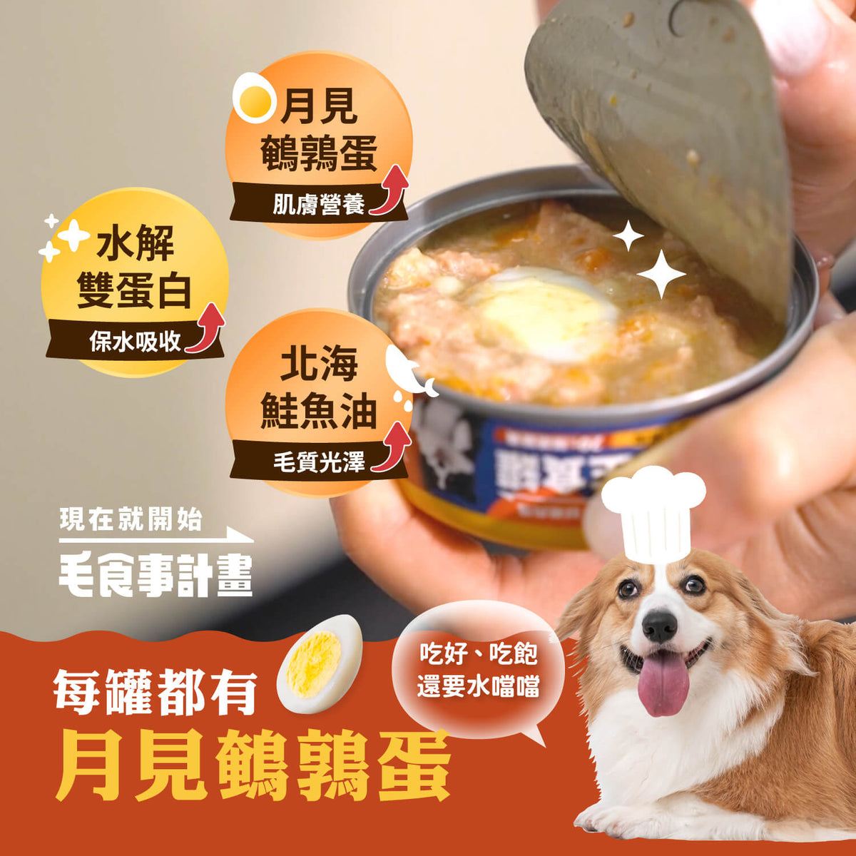 【毛起來】護膚低敏鮮肉主食罐｜犬用
