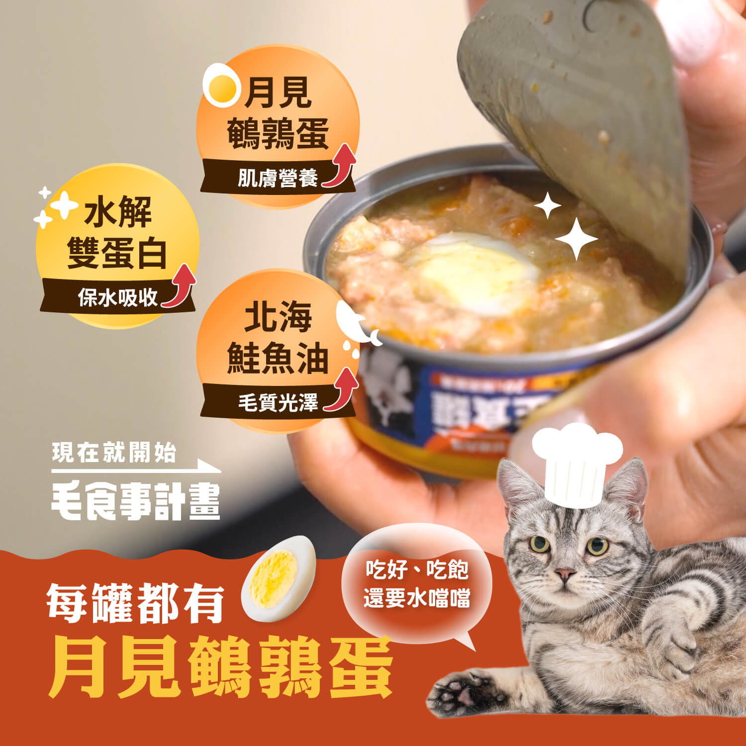 【毛起來】護膚低敏鮮肉主食罐｜貓用