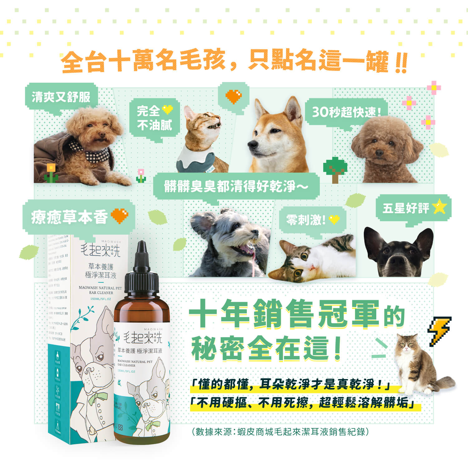 【毛起來】草本養護│極淨潔耳液