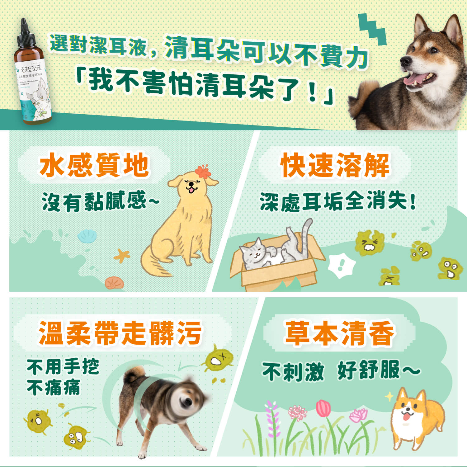 【毛起來】草本養護│極淨潔耳液