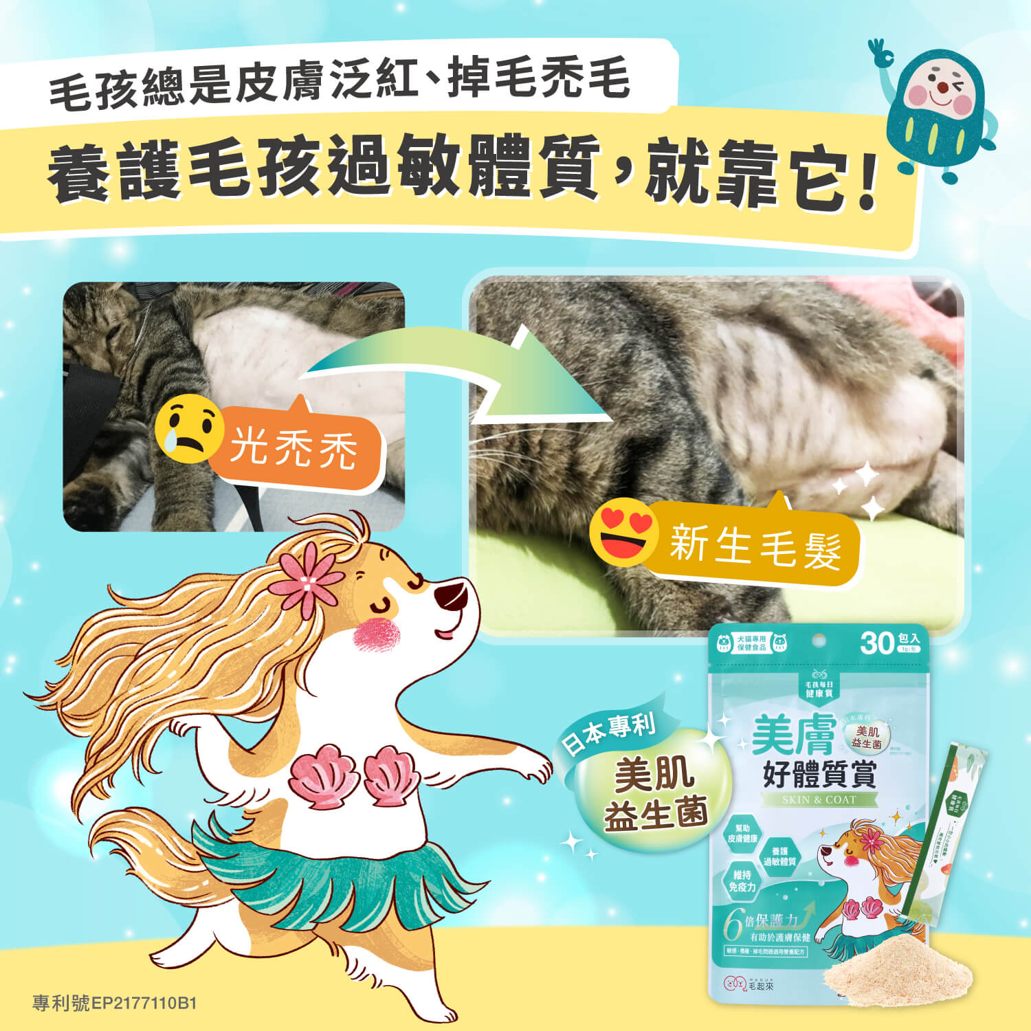 【毛起來】毛孩每日健康賞│美膚好體質賞