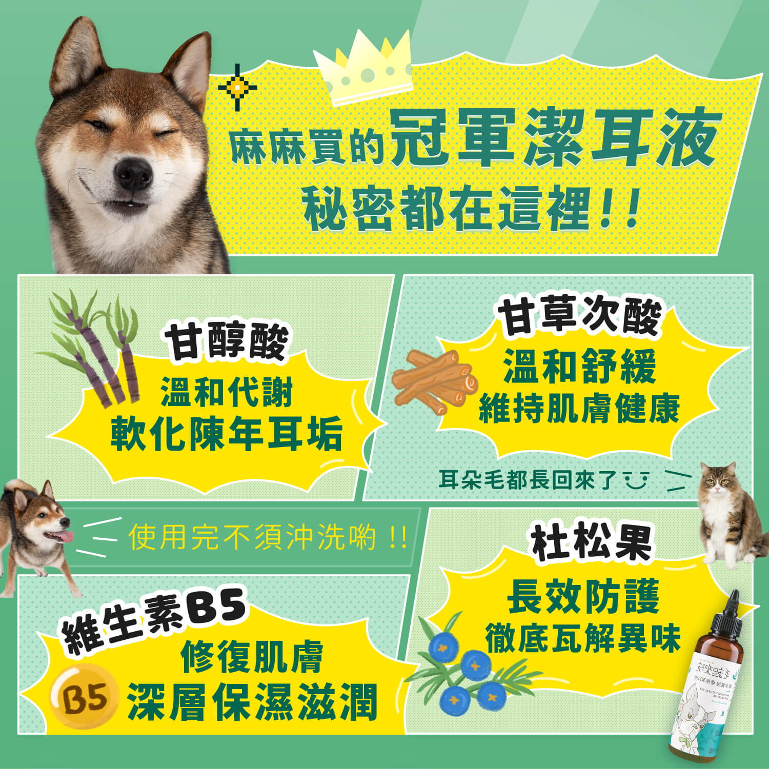 【毛起來】草本養護│極淨潔耳液