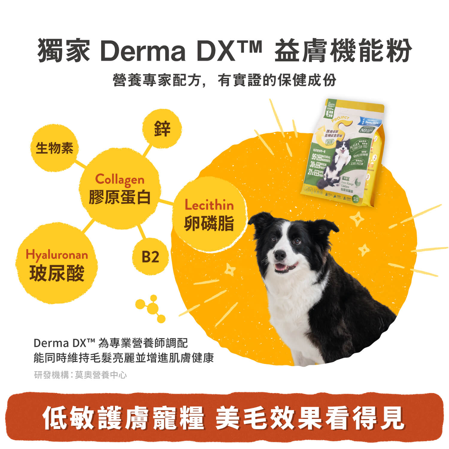 【毛起來】護膚無穀犬糧│S12田園雞與秋刀魚