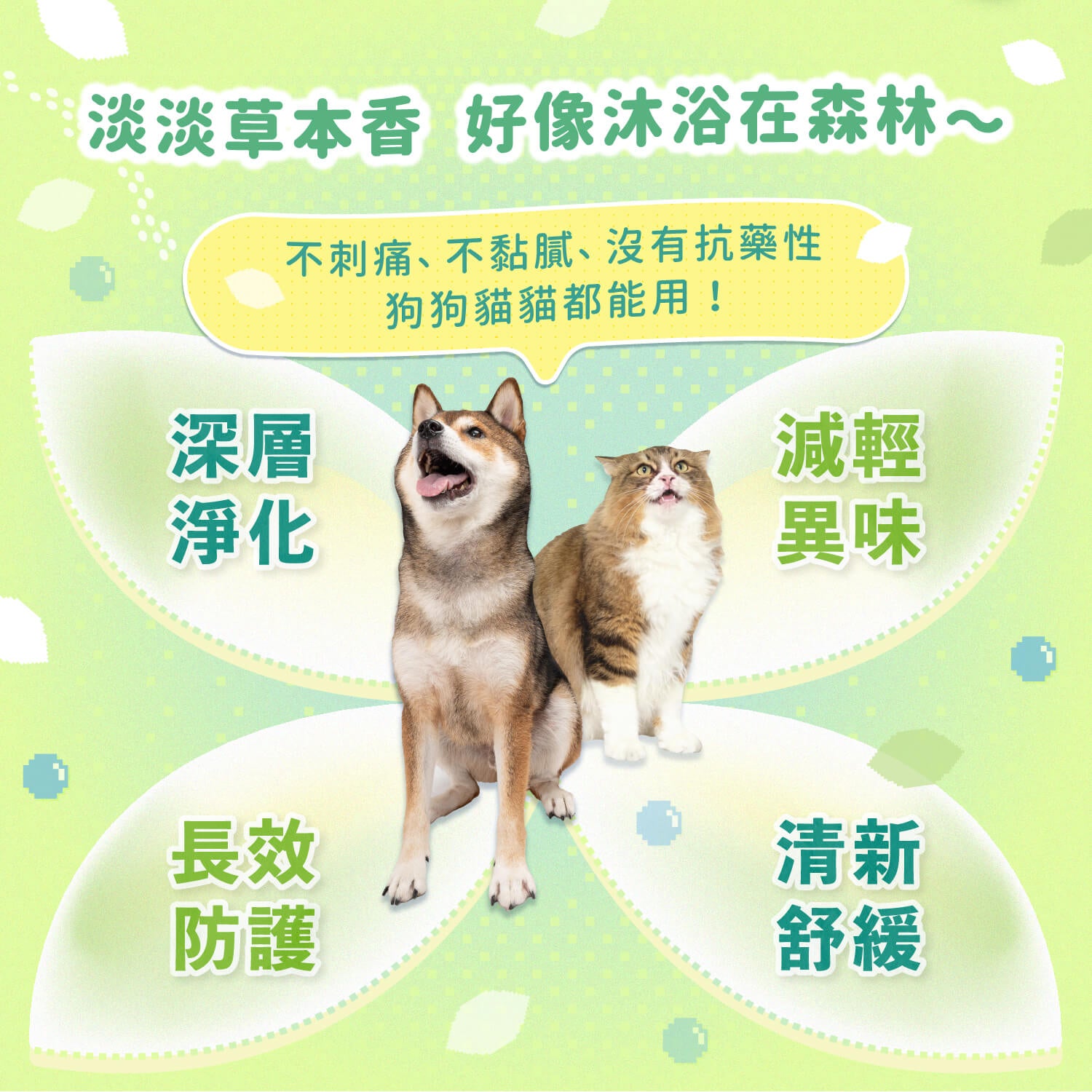 【團購】癢癢退散 日常清潔組
