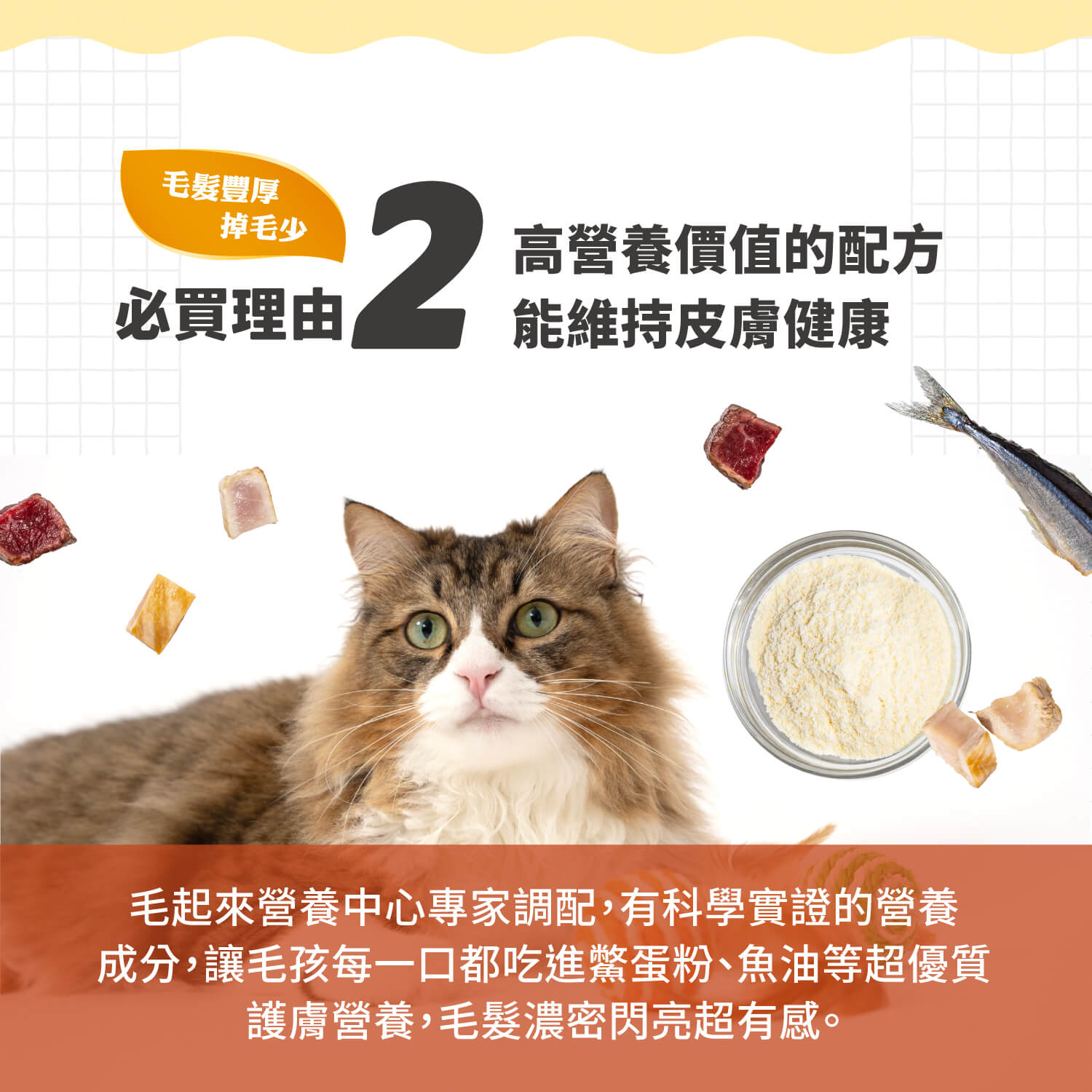 【毛起來】護膚低敏鮮肉主食罐｜貓用