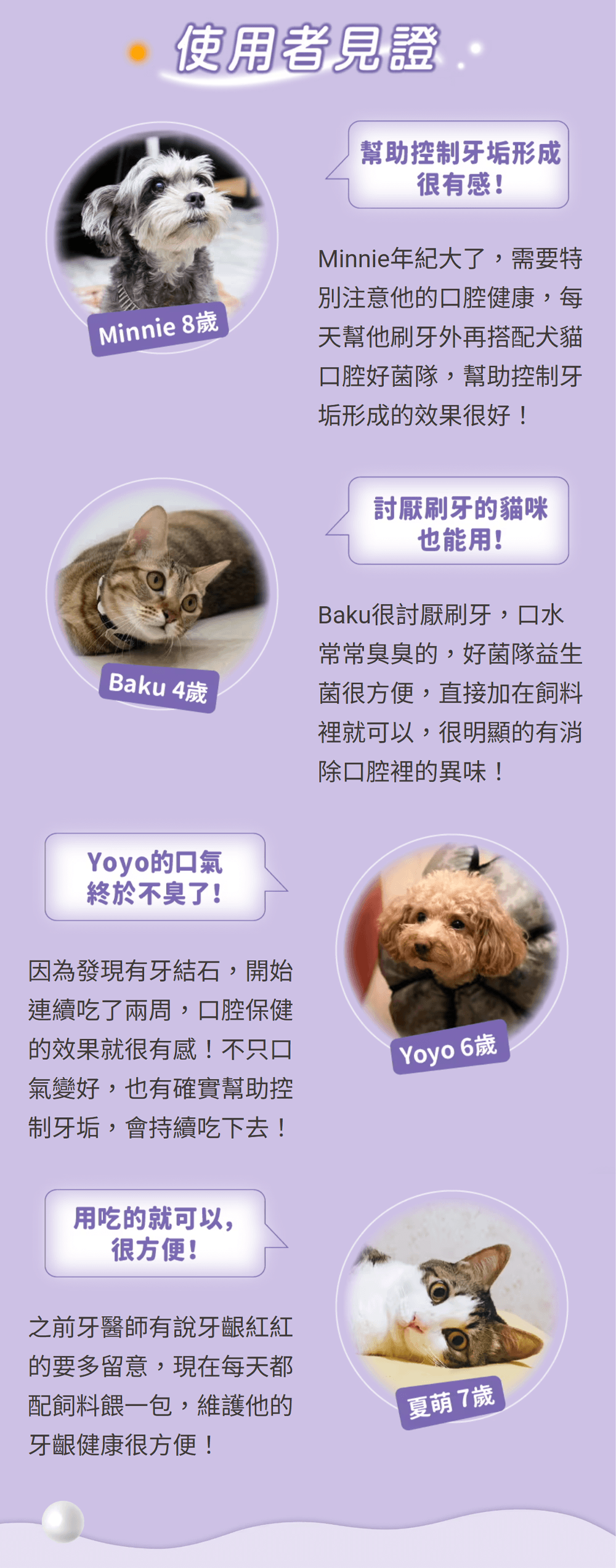【毛起來】口腔對策│犬貓口腔好菌隊