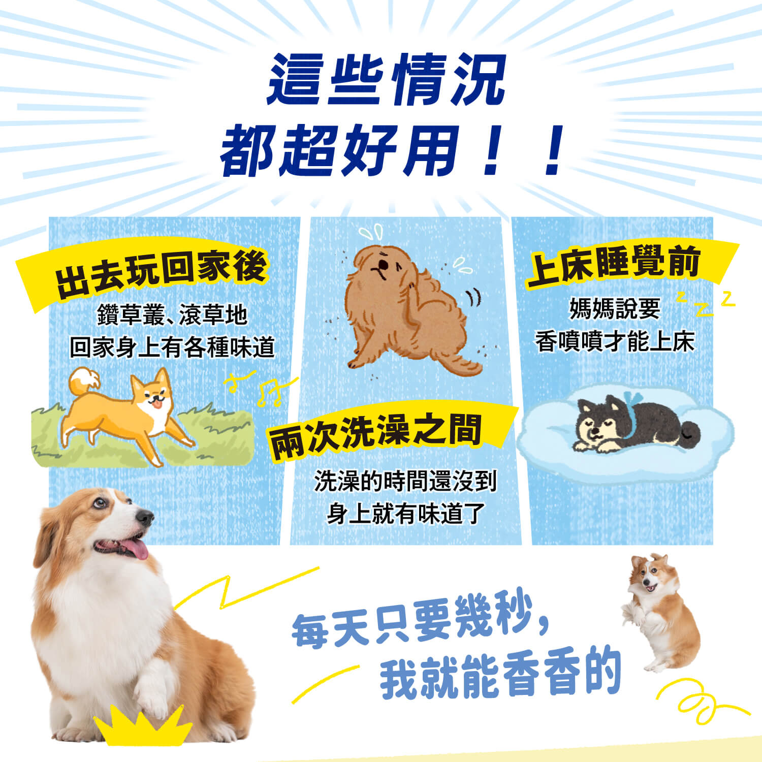 【毛起來】草本養護│潔淨乾洗噴霧