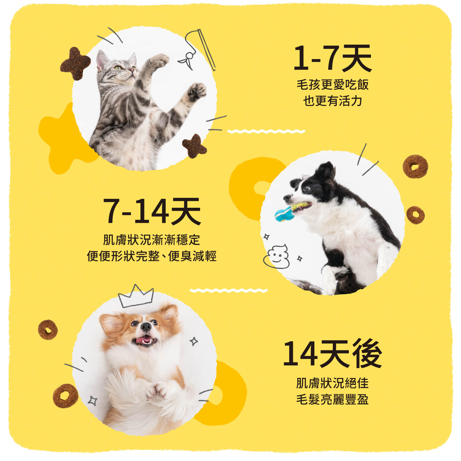 【毛起來】護膚無穀犬糧│S12田園雞與秋刀魚