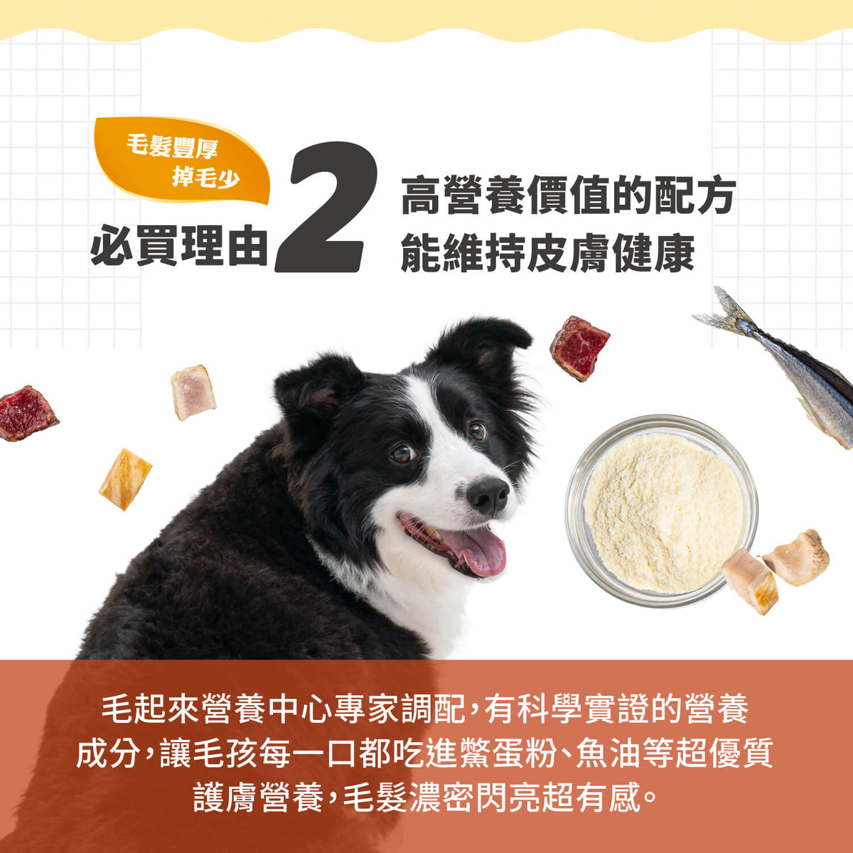 【毛起來】護膚低敏鮮肉主食罐｜犬用