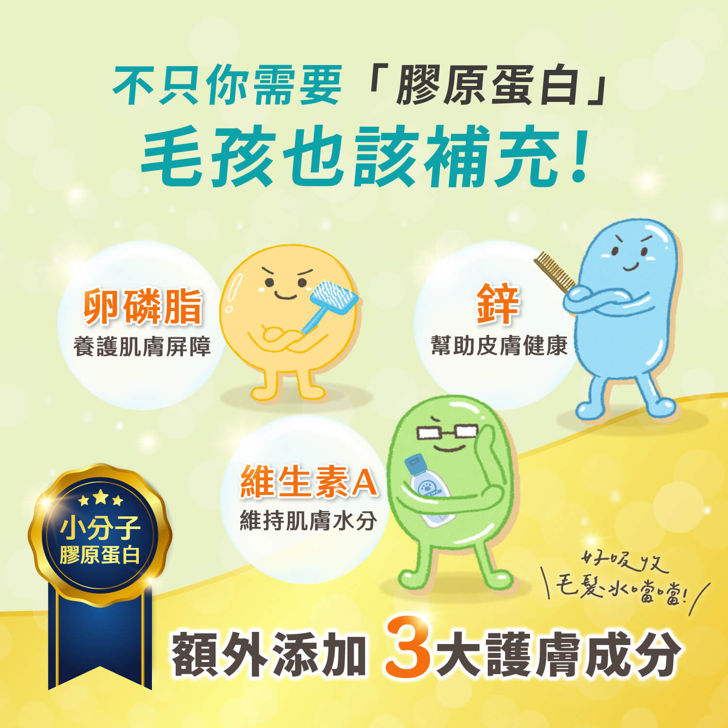 【毛起來】毛孩每日健康賞│美膚好體質賞