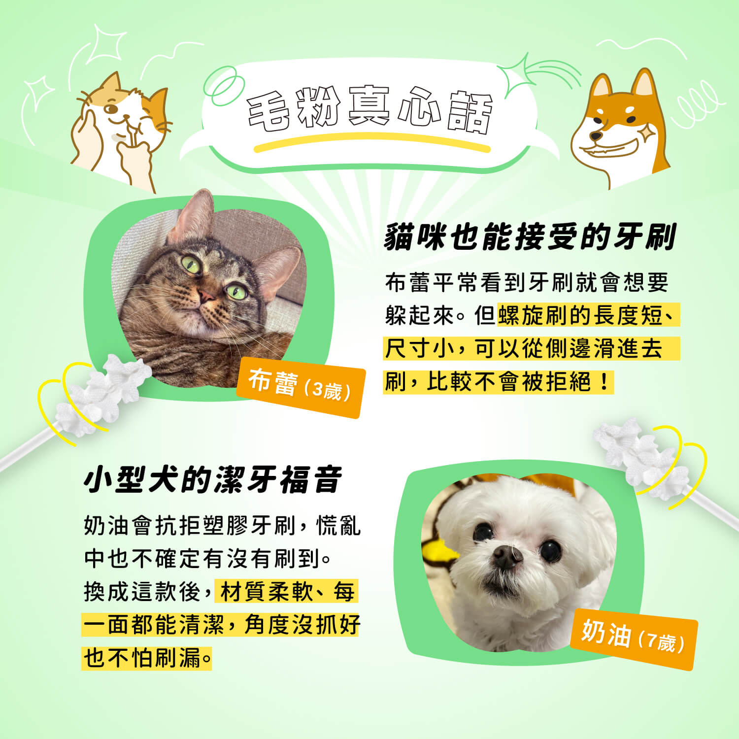 【毛起來】口腔對策│柔拭螺旋刷