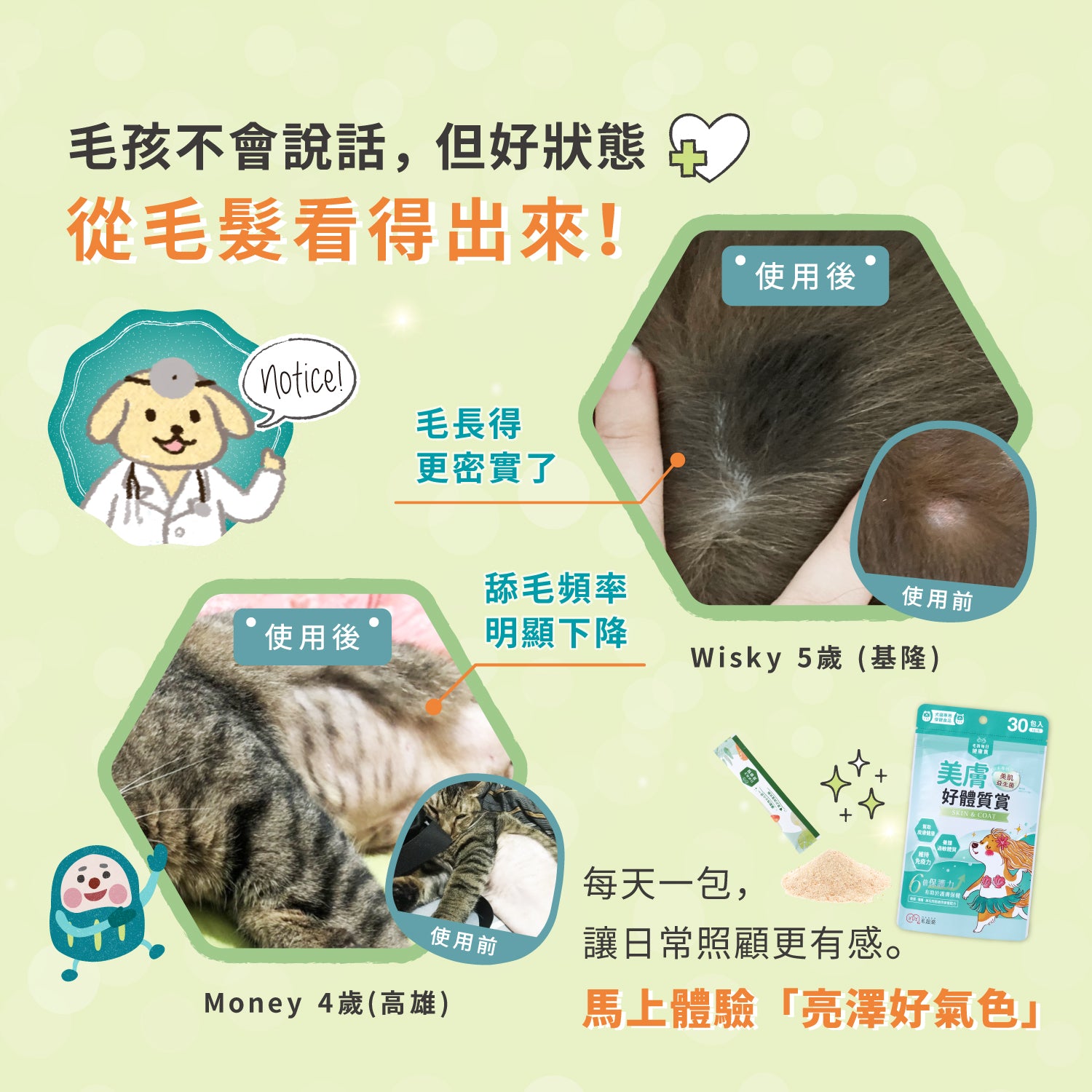 【毛起來】毛孩每日健康賞│美膚好體質賞