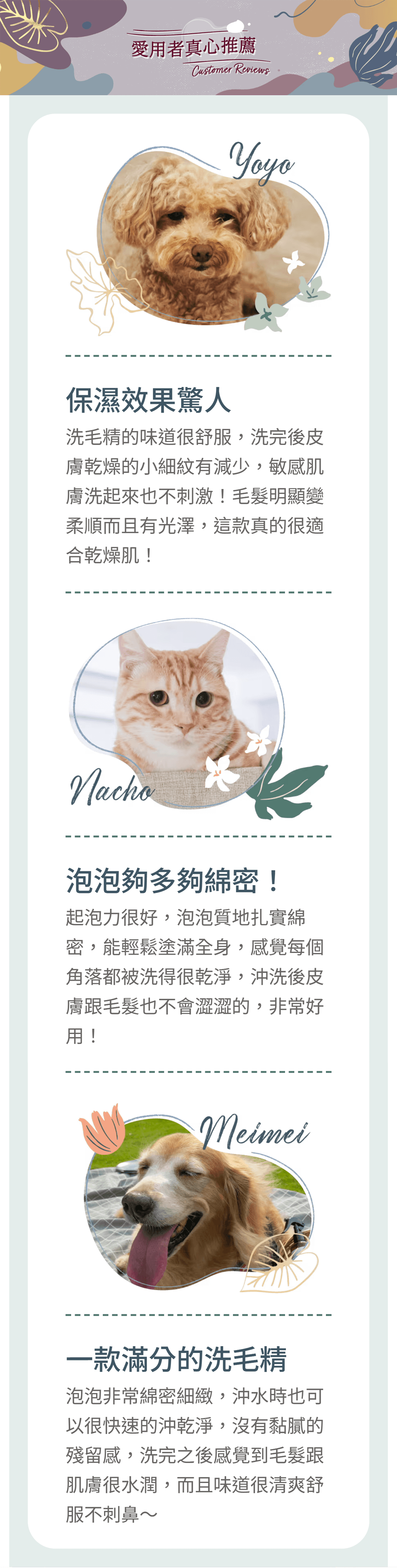 【毛起來】草本養護│好舒洗柔敏洗毛精