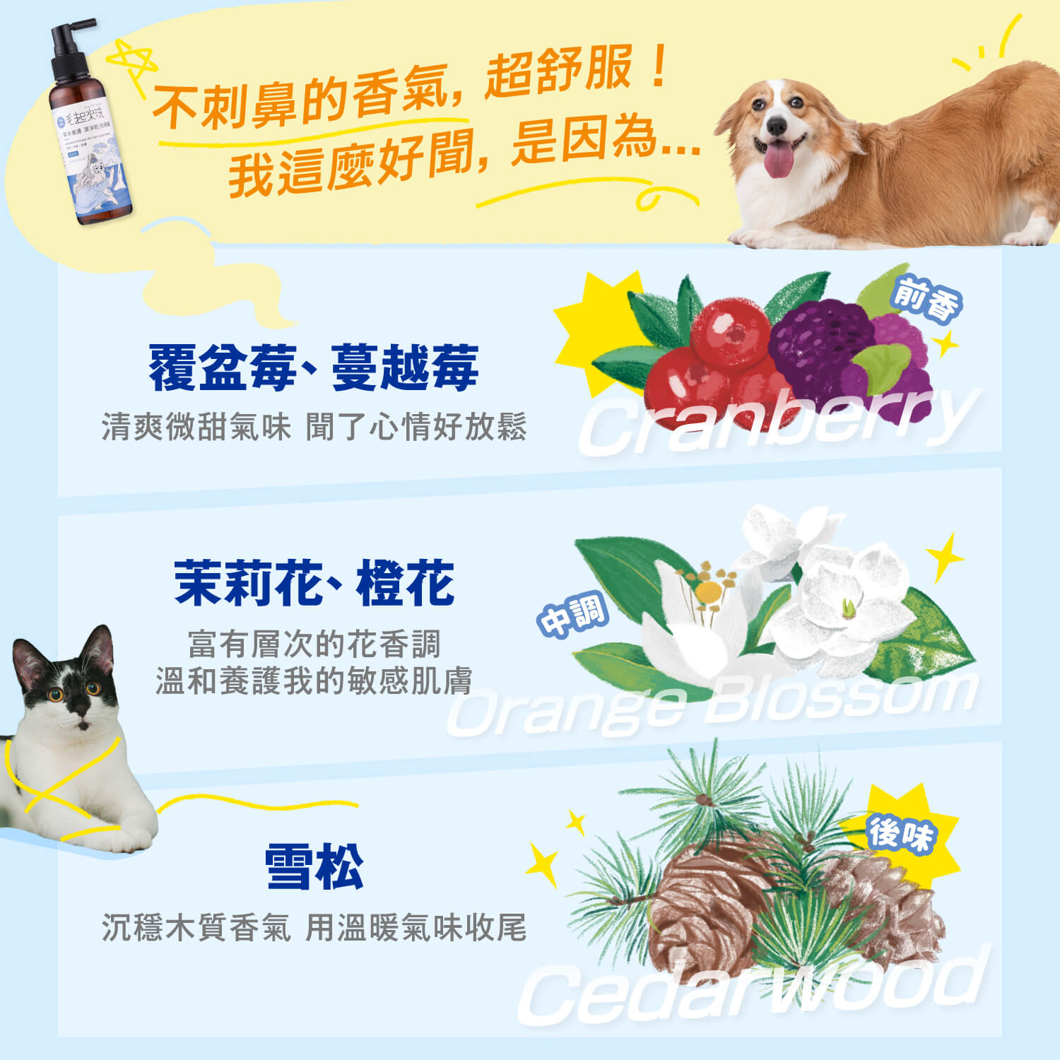 【毛起來】草本養護│潔淨乾洗噴霧