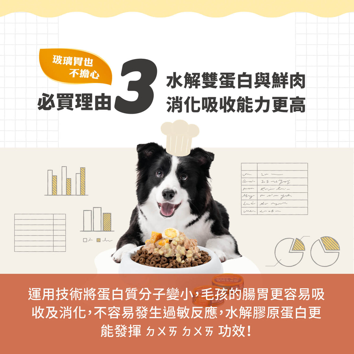【毛起來】護膚低敏鮮肉主食罐｜犬用