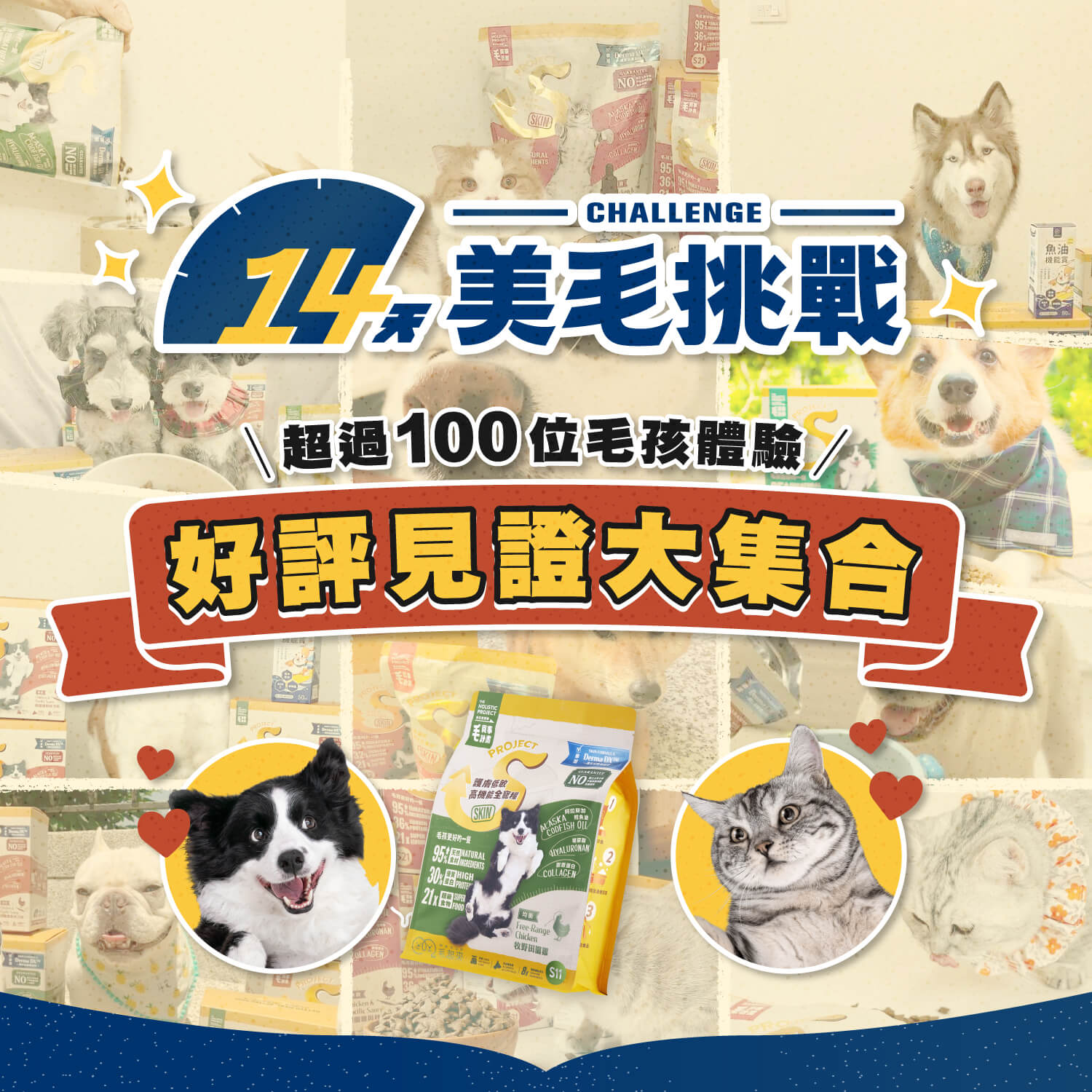 【毛起來】護膚無穀犬糧│S12田園雞與秋刀魚