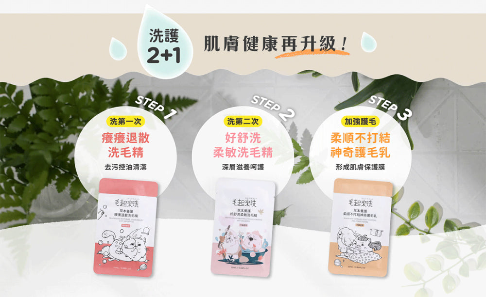 【毛起來】草本養護│洗護精選組-貓貓專用
