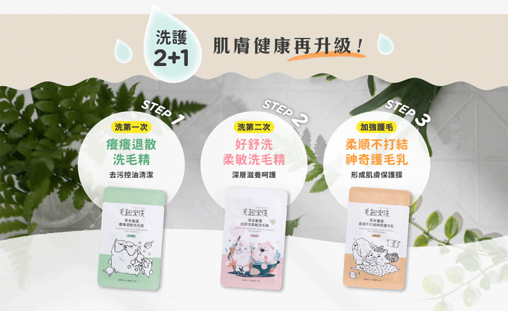 【毛起來】草本養護│洗護精選組-汪汪專用