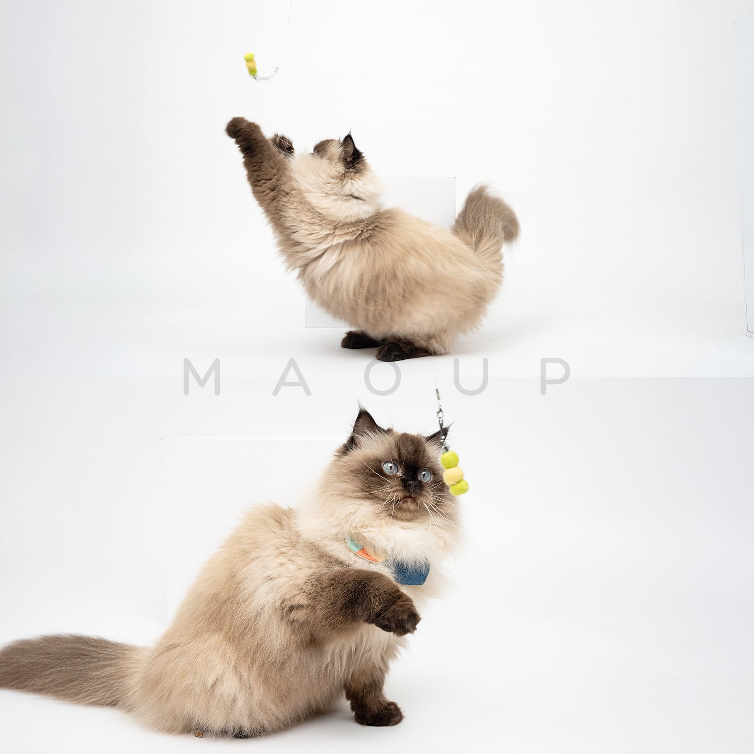 【Zooahpet】逗貓玩具│綠毛毛