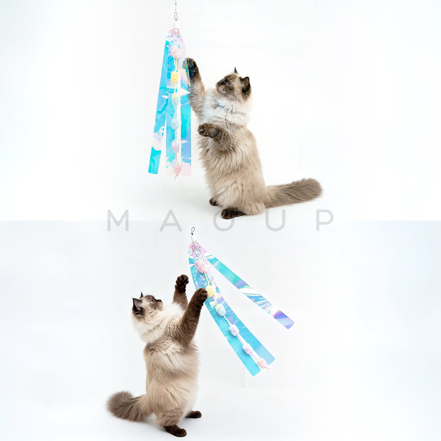 【Zooahpet】逗貓玩具│串串極光瀑布