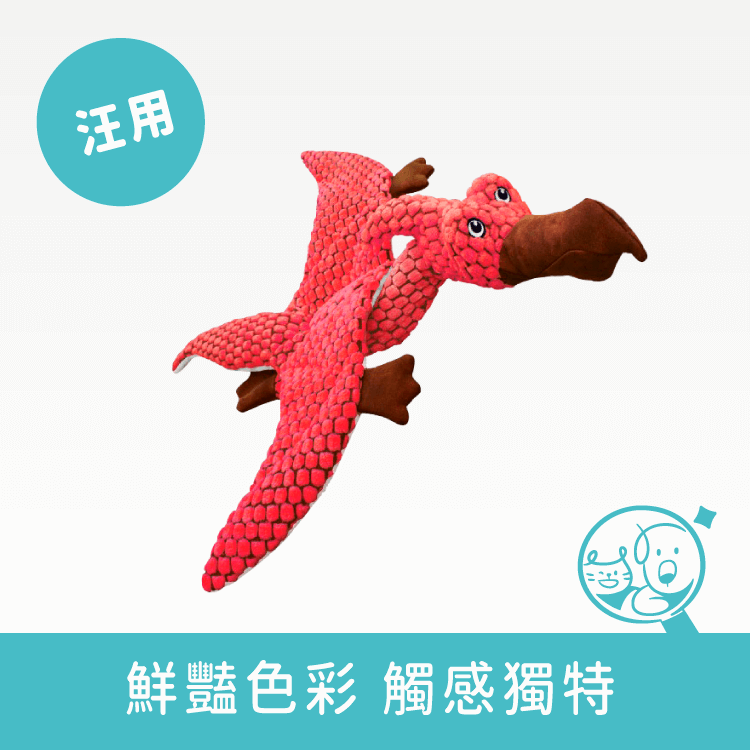 【KONG】侏羅紀恐龍寵物玩具│翼手龍 寵物玩具 KONG S 