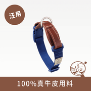 【SPUTNIK】Explore頸圈│藍